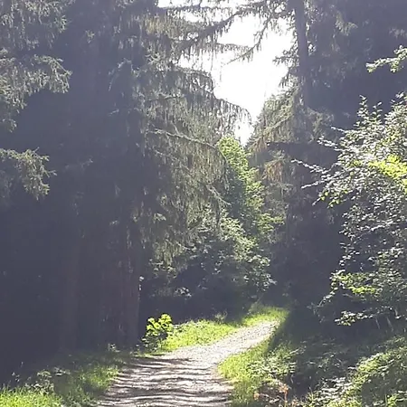 Апартаменты Confortable Face A La Montagne *