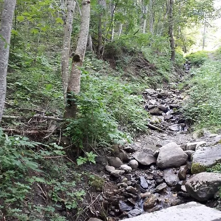 아파트 Confortable Face A La Montagne *