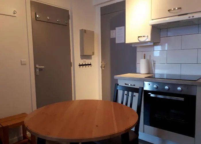 Confortable Face A La Montagne Appartement