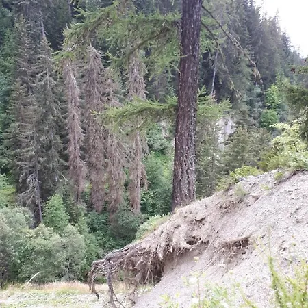 Confortable Face A La Montagne La Plagne