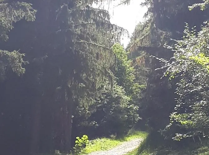 Apartment Confortable Face A La Montagne *