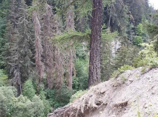 Confortable Face A La Montagne La Plagne